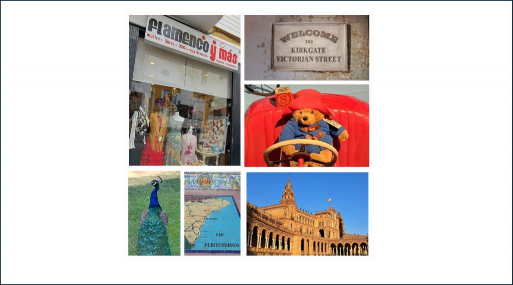 Ersatzbild Sandra Saum