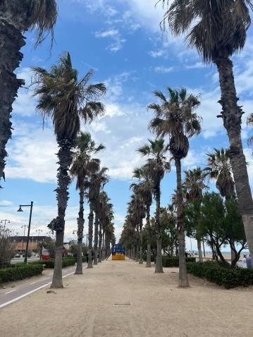 Auf diesem Foto sieht man die Strandpromenade von Valencia.
