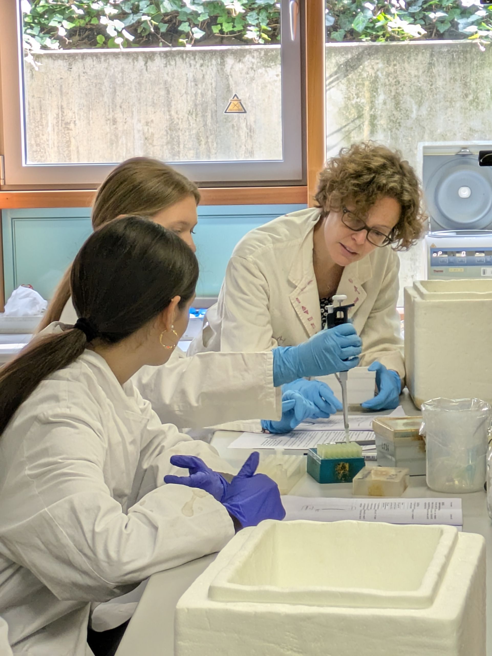 2025-11-05_RH_Stud-wo Biolabor1 Frau Rösel-Hillgärtner leitet ihre Schülerinnen im Labor an.