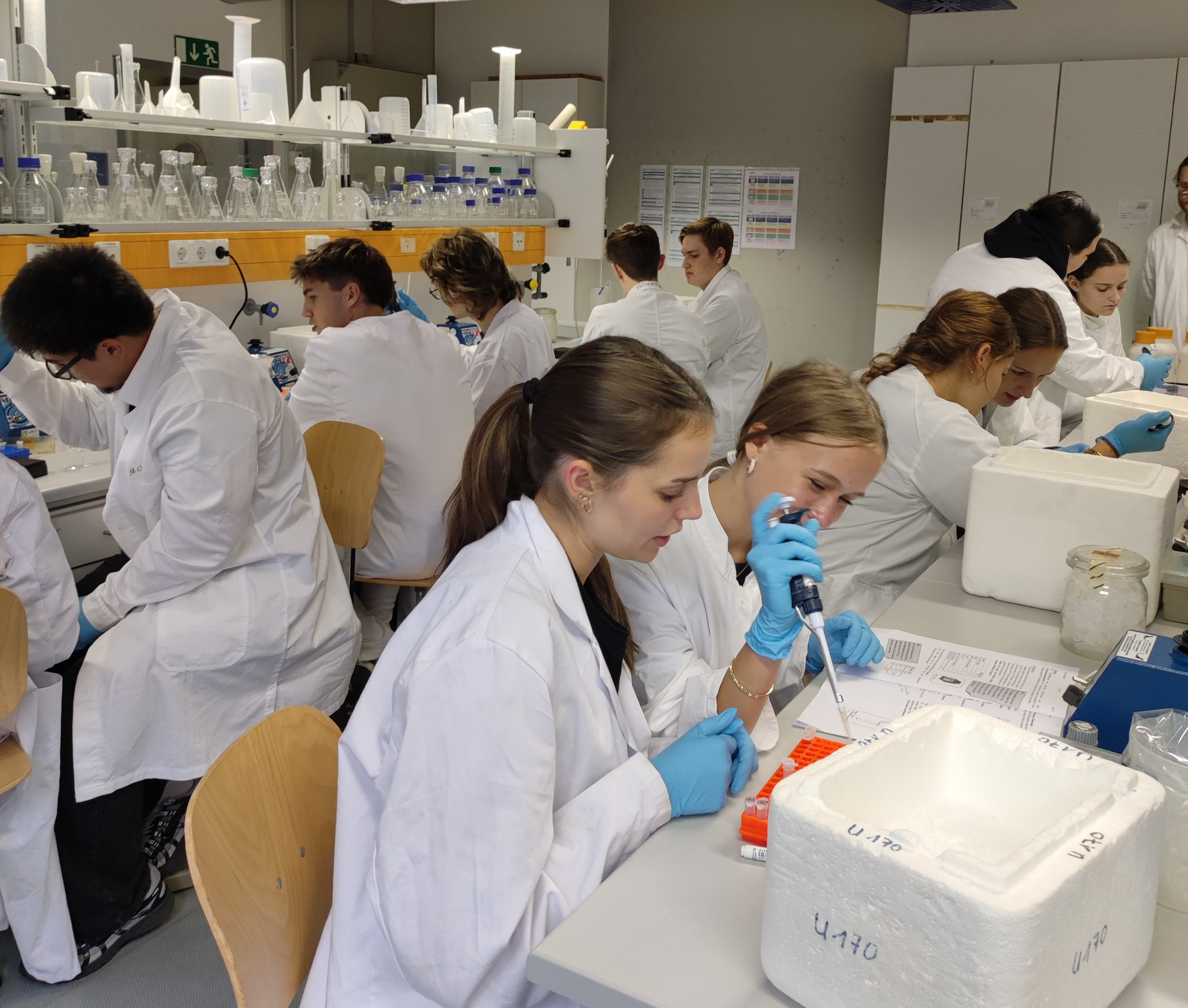 2025-11-05_RH_Stud-wo Biolabor2_Ausschnitt f HP Schülerinnen und Schüler des Bio-LKs RH experimentieren im Labor.