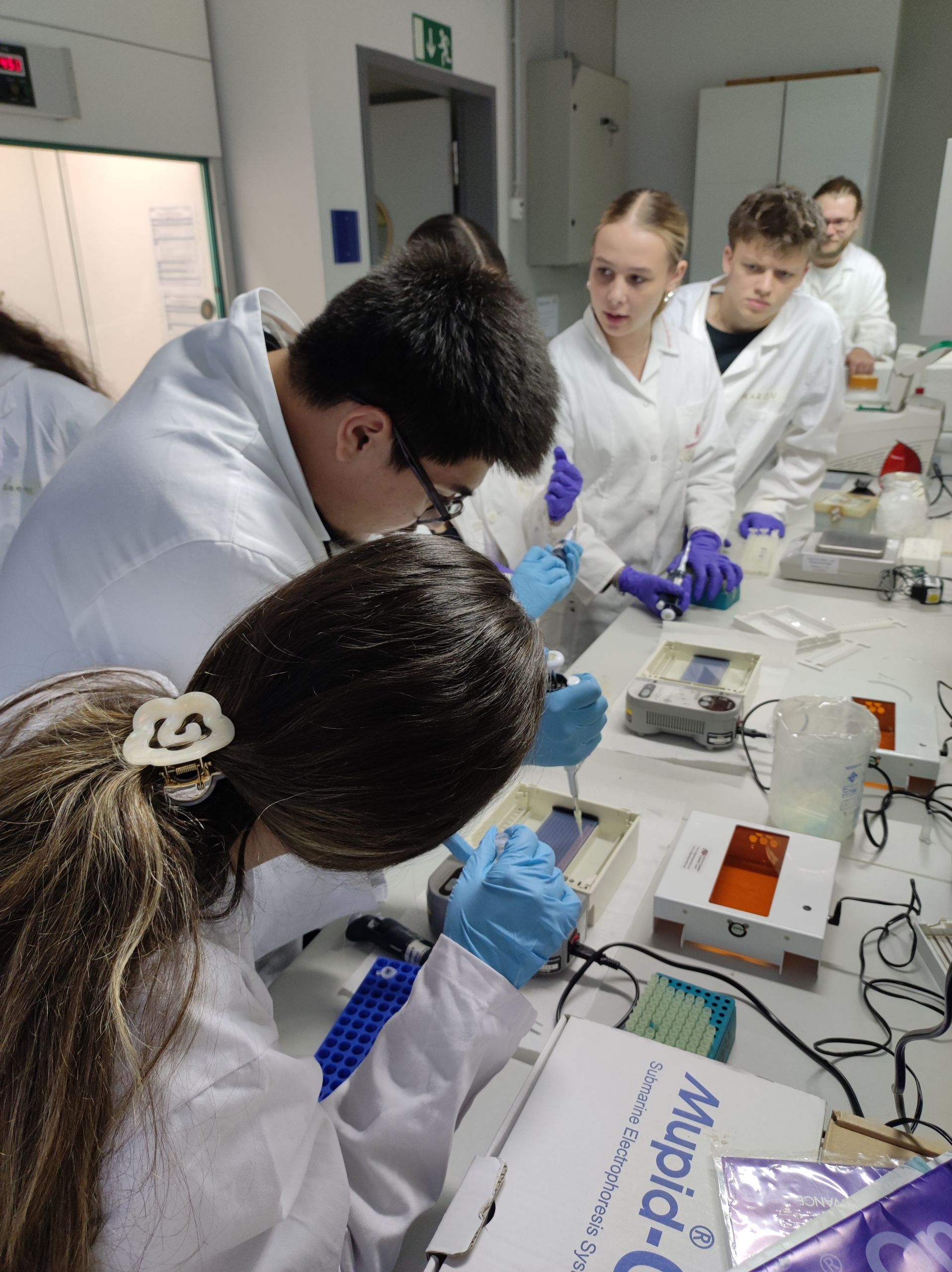2025-11-05_RH_Stud-wo Biolabor3 SuS des Bio-LKs RH arbeiten im Labor.