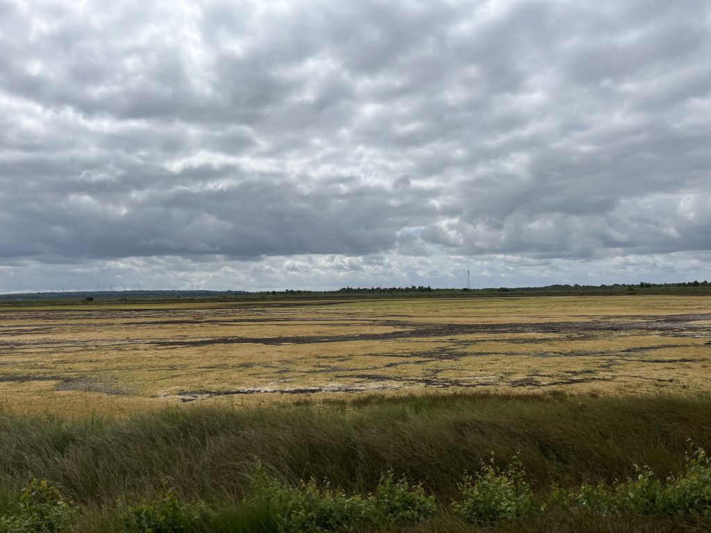 Moorlandschaft während einer Exkursion der Nachhaltigkeitsakademie 2026
