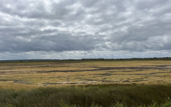 Moorlandschaft während einer Exkursion der Nachhaltigkeitsakademie 2026